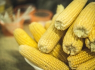 煮熟的玉米棒怎么保存 玉米棒图片