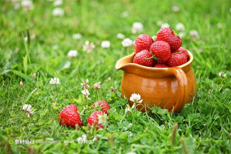 风景草莓图片大全 阳光的草莓图片大全