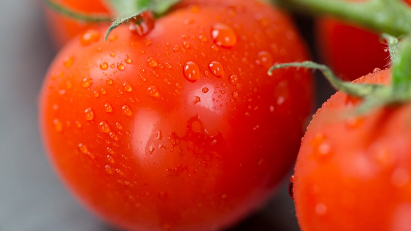 西红柿有100种做菜方法 西红柿到底是水果呢还是属于蔬菜