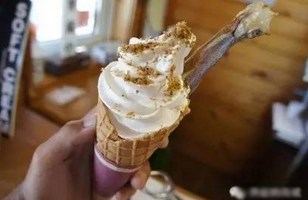 30元的冰淇淋能吃到你怀疑人生吗 盘点一下奇葩冰淇淋