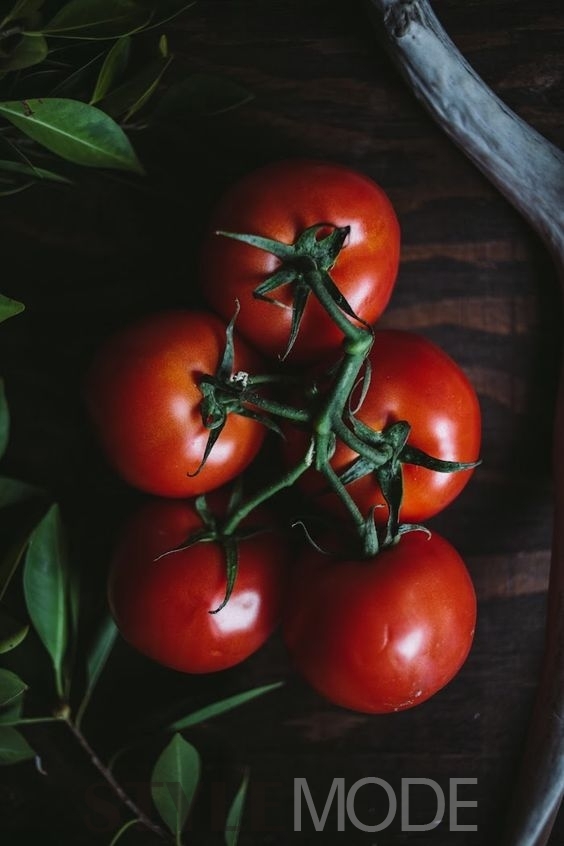 晚间西红柿减肥方法是什么 一周西红柿减肥法