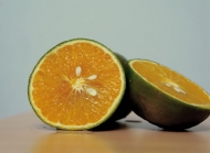 橘子切开高清图片 切片晒干的橘子茶