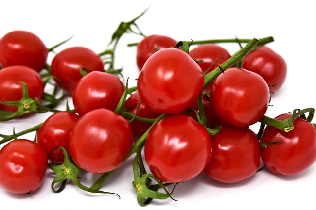 红色小番茄图片 红色小番茄种子