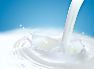 牛奶素材图片单个 鲜奶图片素材