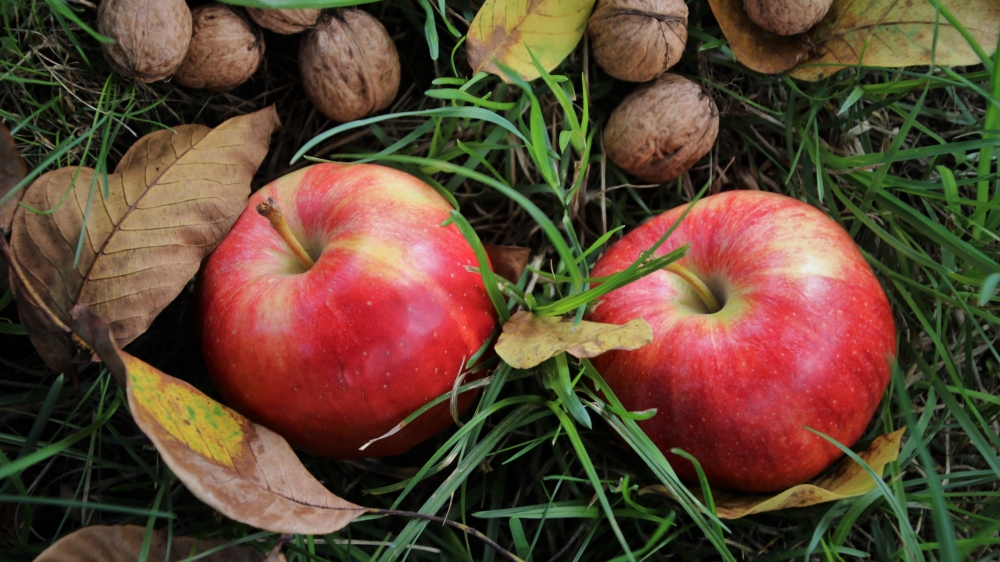 苹果醋泡姜加苹果的功效 苹果功效和作用大全