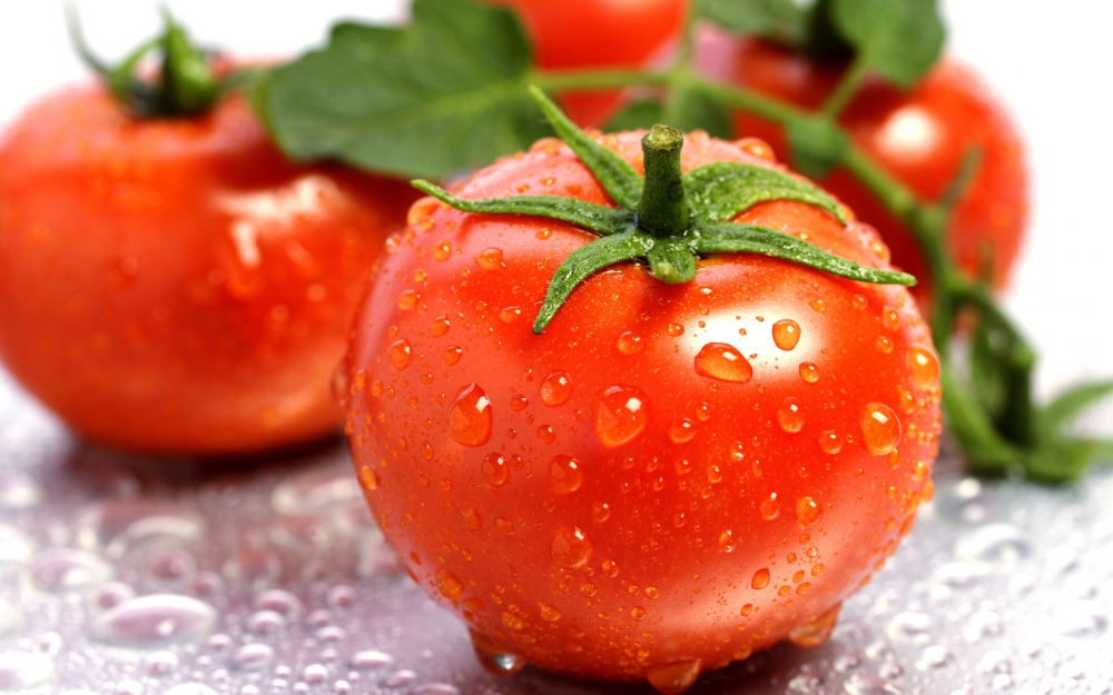 西红柿的营养价值卡通视频 美味的西红柿图片大全