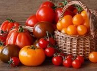 西红柿的营养价值卡通视频 美味的西红柿图片大全