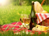 草地上的葡萄酒和奶酪的高清图片