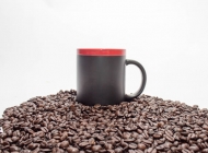过滤咖啡豆的咖啡杯 适合手摇咖啡杯的咖啡豆