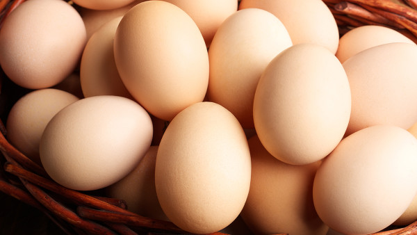 蛋黄脂肪含量高吗？鸡蛋黄中有哪些营养物质？
