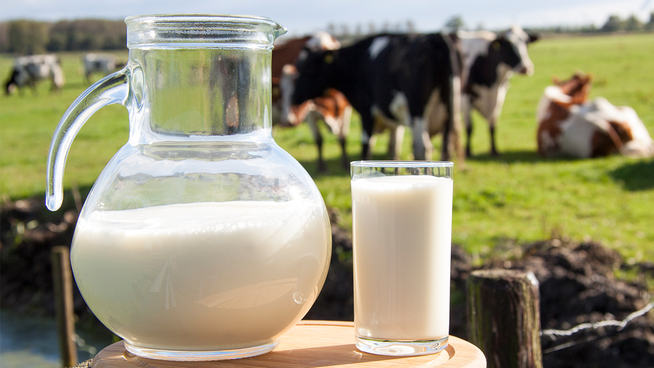 空腹喝牛奶有什么危害？晚上喝牛奶最好吗？