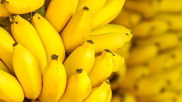 香蕉脂肪含量高吗？吃香蕉苹果可以减肥吗？