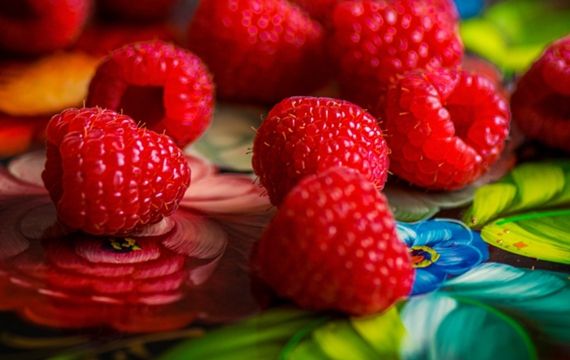 双季6号大果红树莓 红树莓盆栽养殖方法