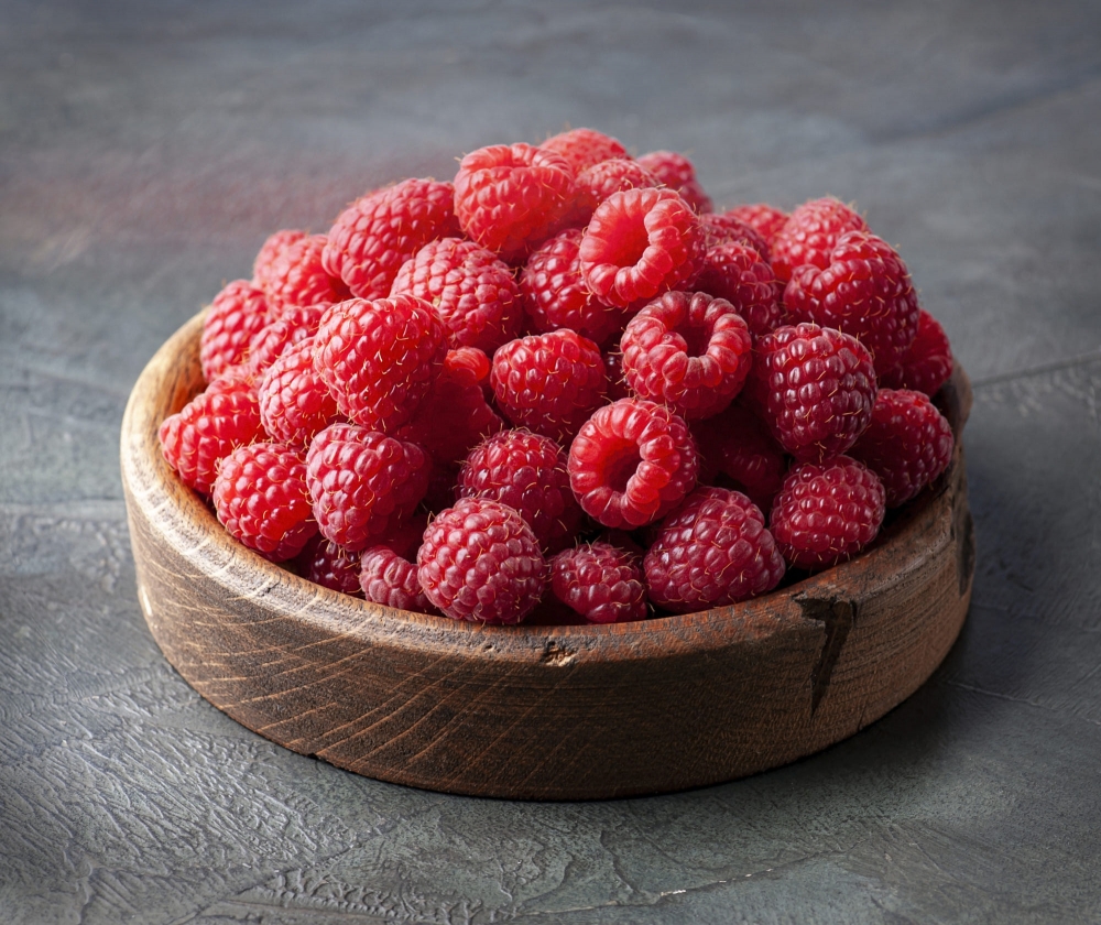 双季6号大果红树莓 红树莓盆栽养殖方法