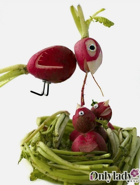 蔬菜大棚网红模仿秀最新 安徽蔬菜大棚模仿秀