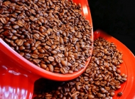 咖啡豆图像 咖啡豆的高清图片