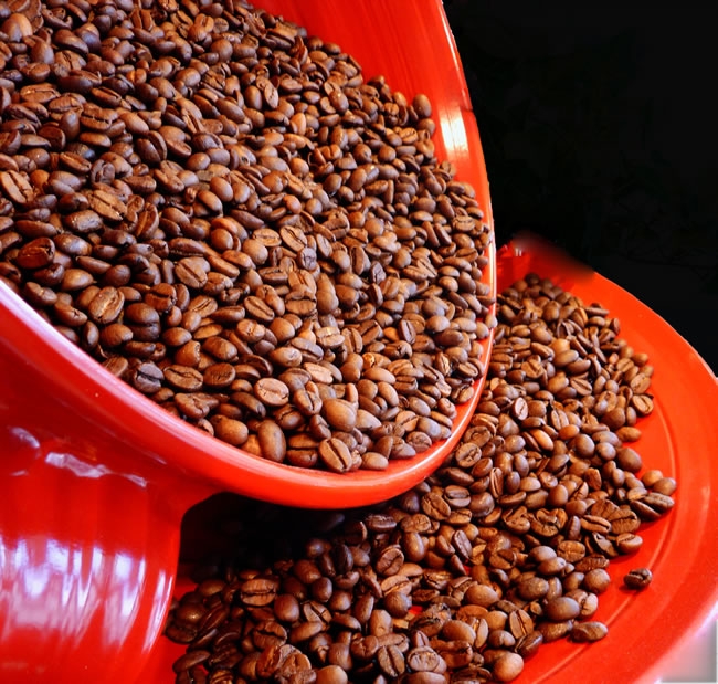咖啡豆图像 咖啡豆的高清图片