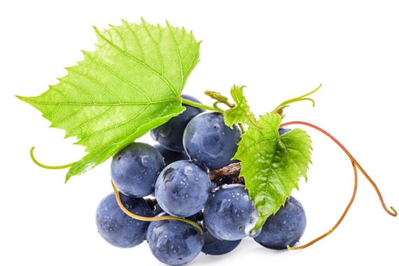 水果葡萄怎么制作 又大又甜的葡萄水果