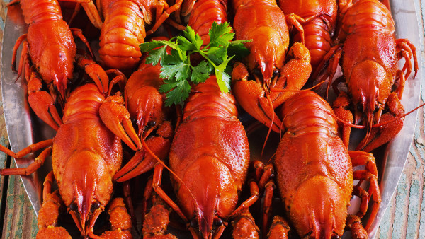 吃太多小龙虾有什么坏处？小龙虾哪些部位不能吃？