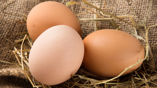 生鸡蛋粘壳坏了吗？蒸鸡蛋20分钟还不熟是怎么回事？