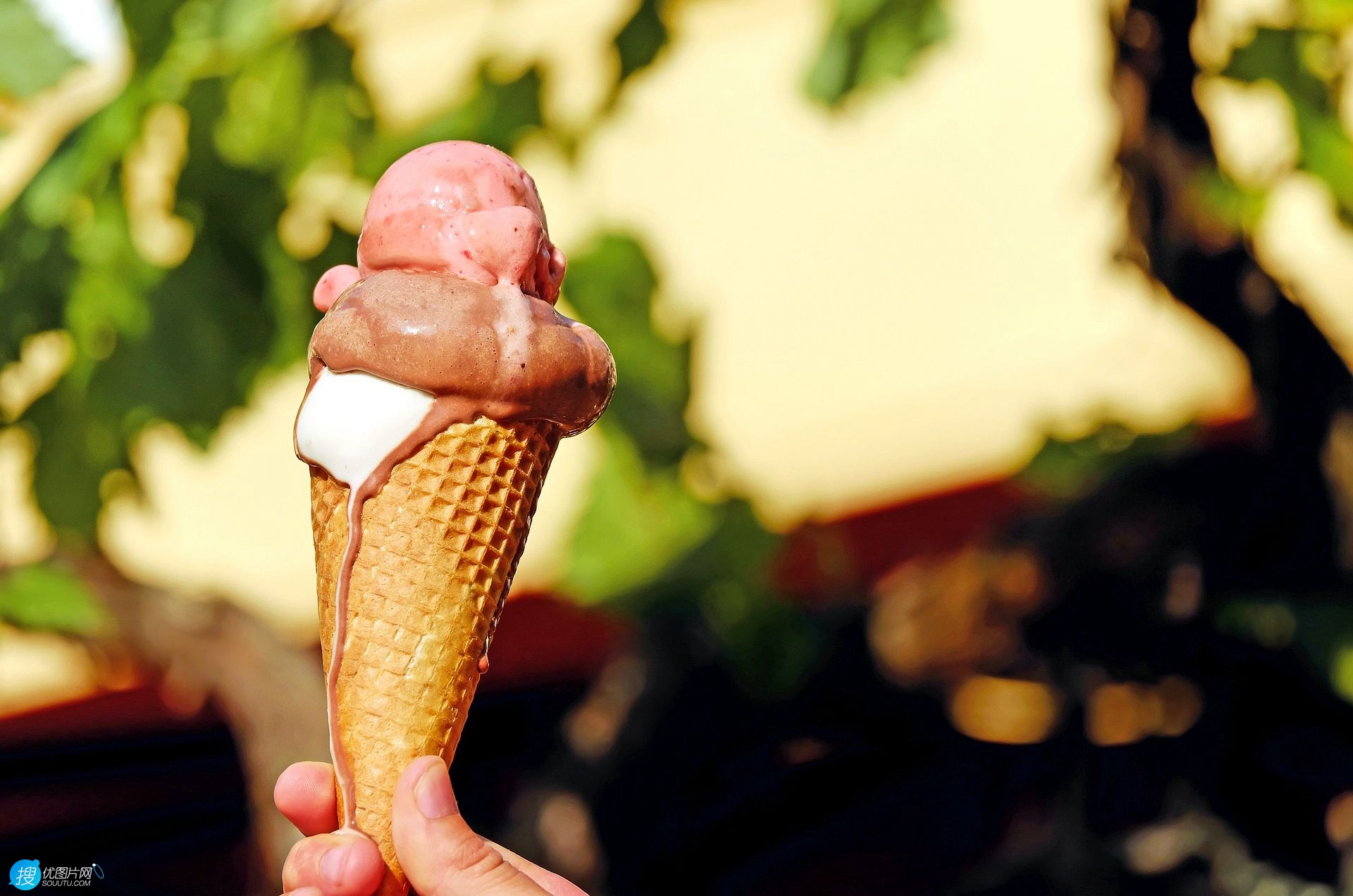 甜筒冰淇淋怎么做不用冰淇淋粉 脆筒冰淇淋图片大图