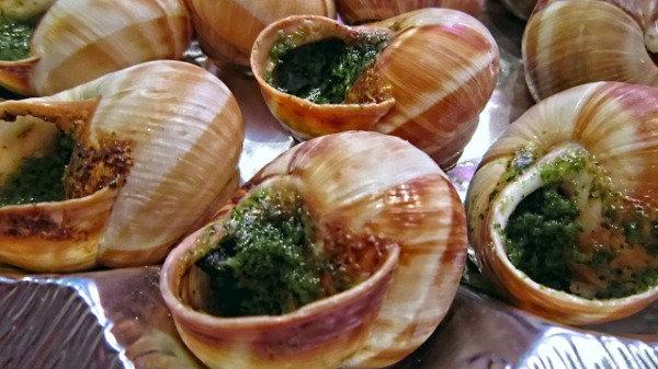 海螺煮多久能熟？怎么判断海螺煮熟了？