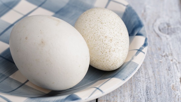 鹅蛋煮多久能煮熟?如何煮鹅蛋去腥味？