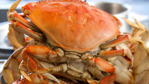 螃蟹蒸多久可以吃？螃蟹不能和什么一起吃？