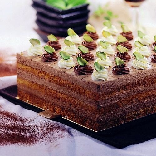巧克力方形蛋糕图片 巧克力方块蛋糕
