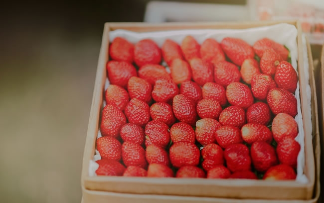 美味的草莓图片大全 唯美草莓美食图片大全集