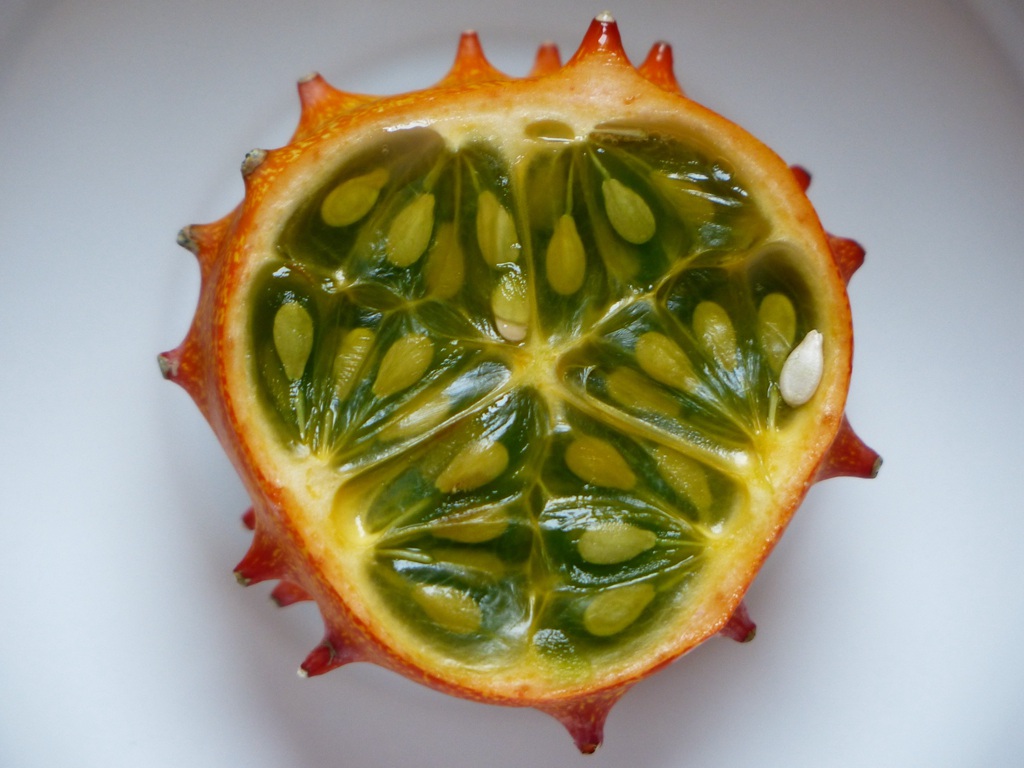 刺角瓜品种图片 外形像海参的一种水果刺角瓜