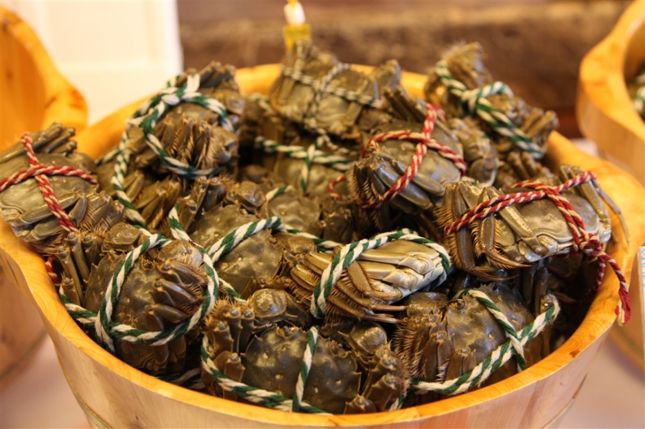 阳澄湖大闸蟹卡通图片 阳澄湖大闸蟹美食图片