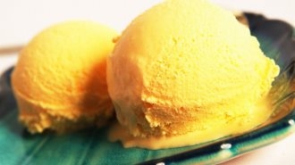 姥姥自制水果冰淇淋 自制水果冰淇淋酸奶