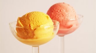 姥姥自制水果冰淇淋 自制水果冰淇淋酸奶