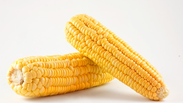 玉米须煮水能降低尿酸吗？玉米须这些功效你知道吗？