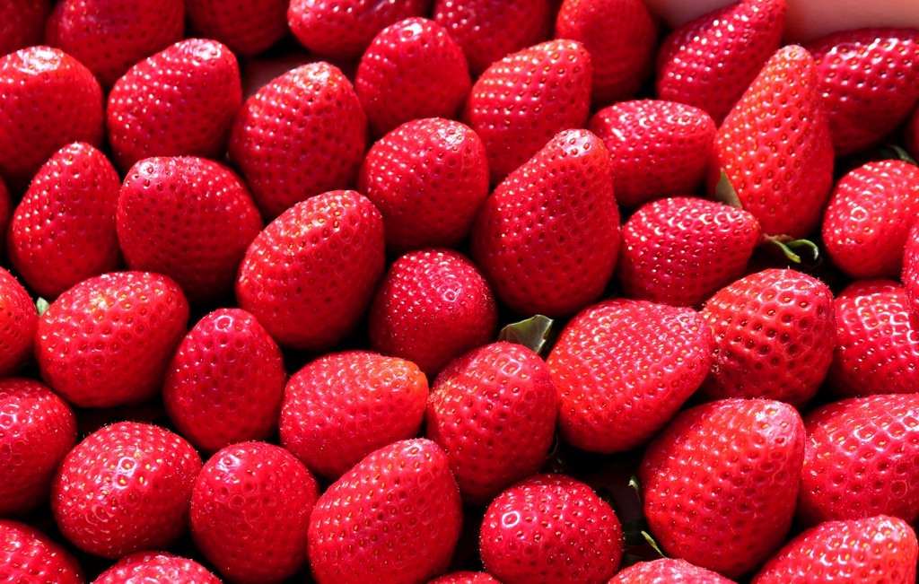 整个草莓颜色通红无色差 新鲜的草莓图片大全