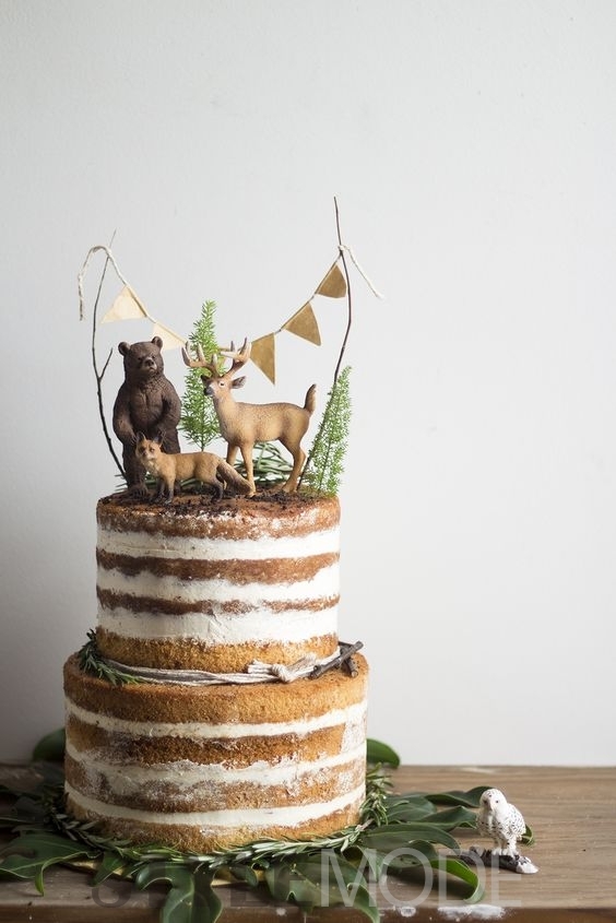 生日裸蛋糕造型 29岁生日什么蛋糕款式好看