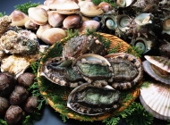 海产品美食图片素材 海南海鲜料理制作视频